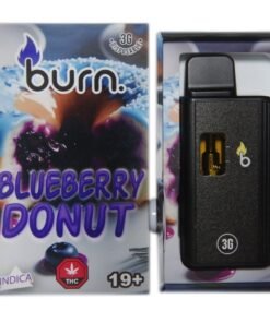 Burn 3mL Disposable Vapes – Blueberry Donut THC Distillate