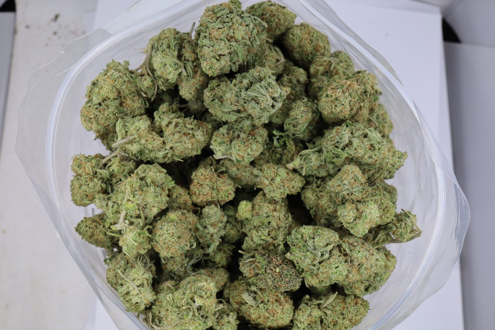 gsc-bag-2.jpg
