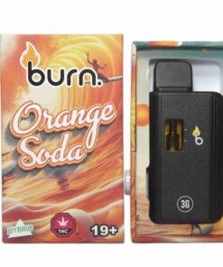 Burn 3mL Disposable Vapes – Orange Soda THC Distillate