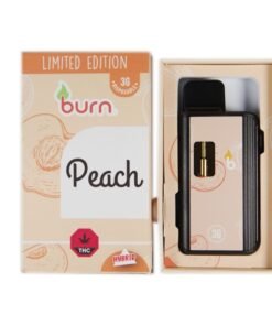 Burn 3mL Disposable Vapes – Peach THC Distillate